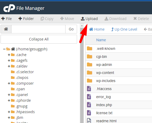 Upload File