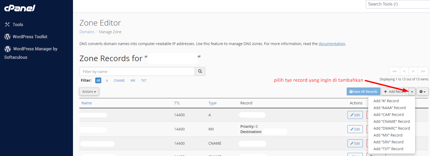 Form tambah record DNS