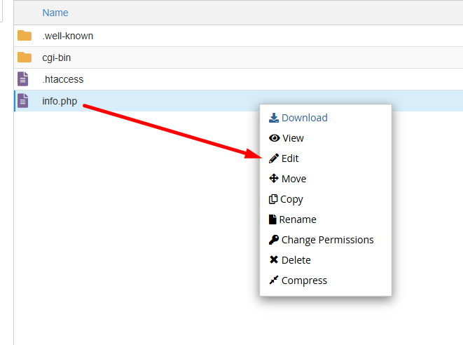 File Manager cPanel