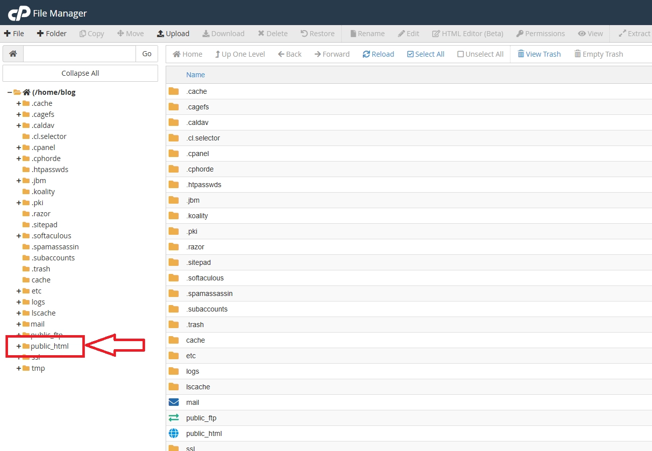File Manager cPanel